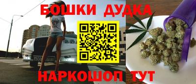 индика Старая Купавна