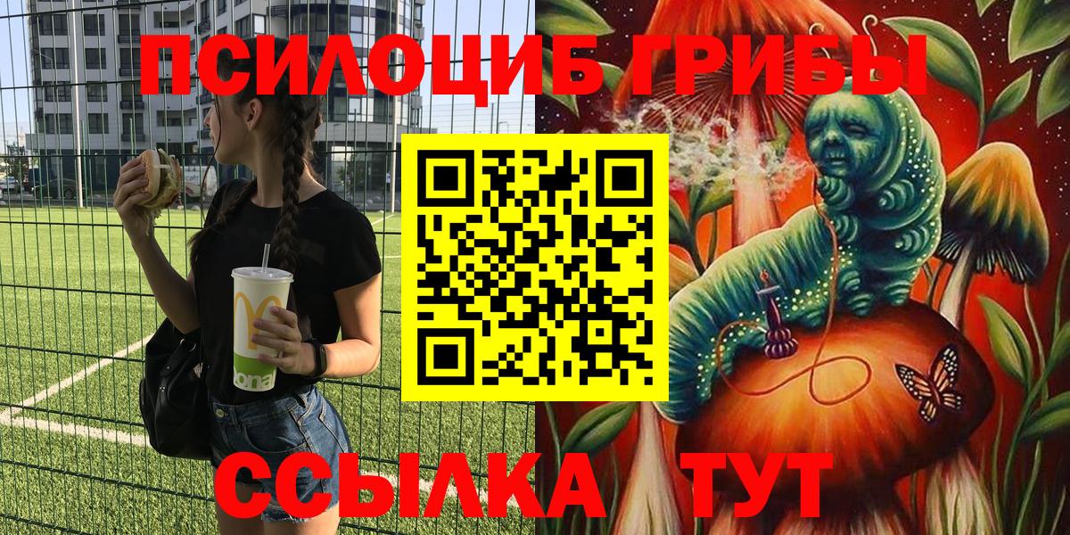 Галлюциногенные грибы Psilocybine cubensis Бердск