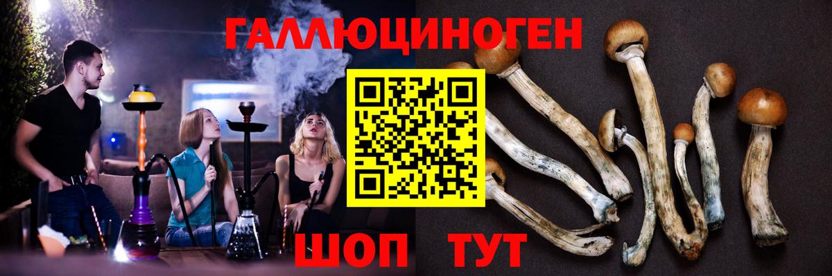 Псилоцибиновые грибы мицелий  Галлюциногенные грибы прущие грибы  Бердск  Вход с VPN 