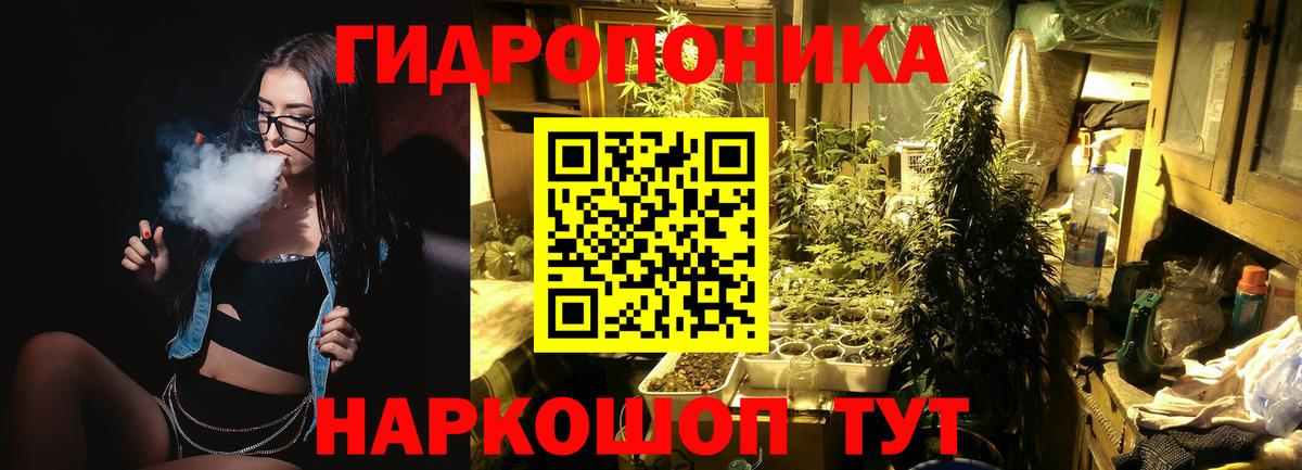 Каннабис OG Kush Бердск